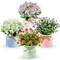 Der Rose 4 Pack Fake Flowers Small Artificial Faux Plants Indoor in Plastic Macaron Pot Spring Decor for Centerpiece Table Decorations Home Office Desk Decor